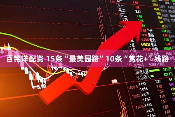 百铭洋配资 15条“最美园路”10条“赏花+”线路