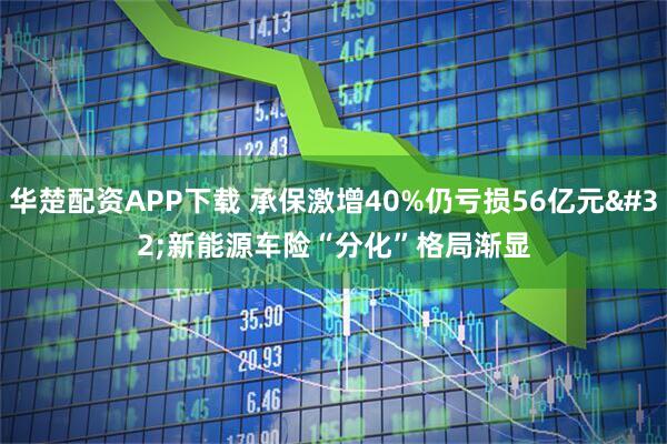 华楚配资APP下载 承保激增40%仍亏损56亿元 新能源车险“分化”格局渐显